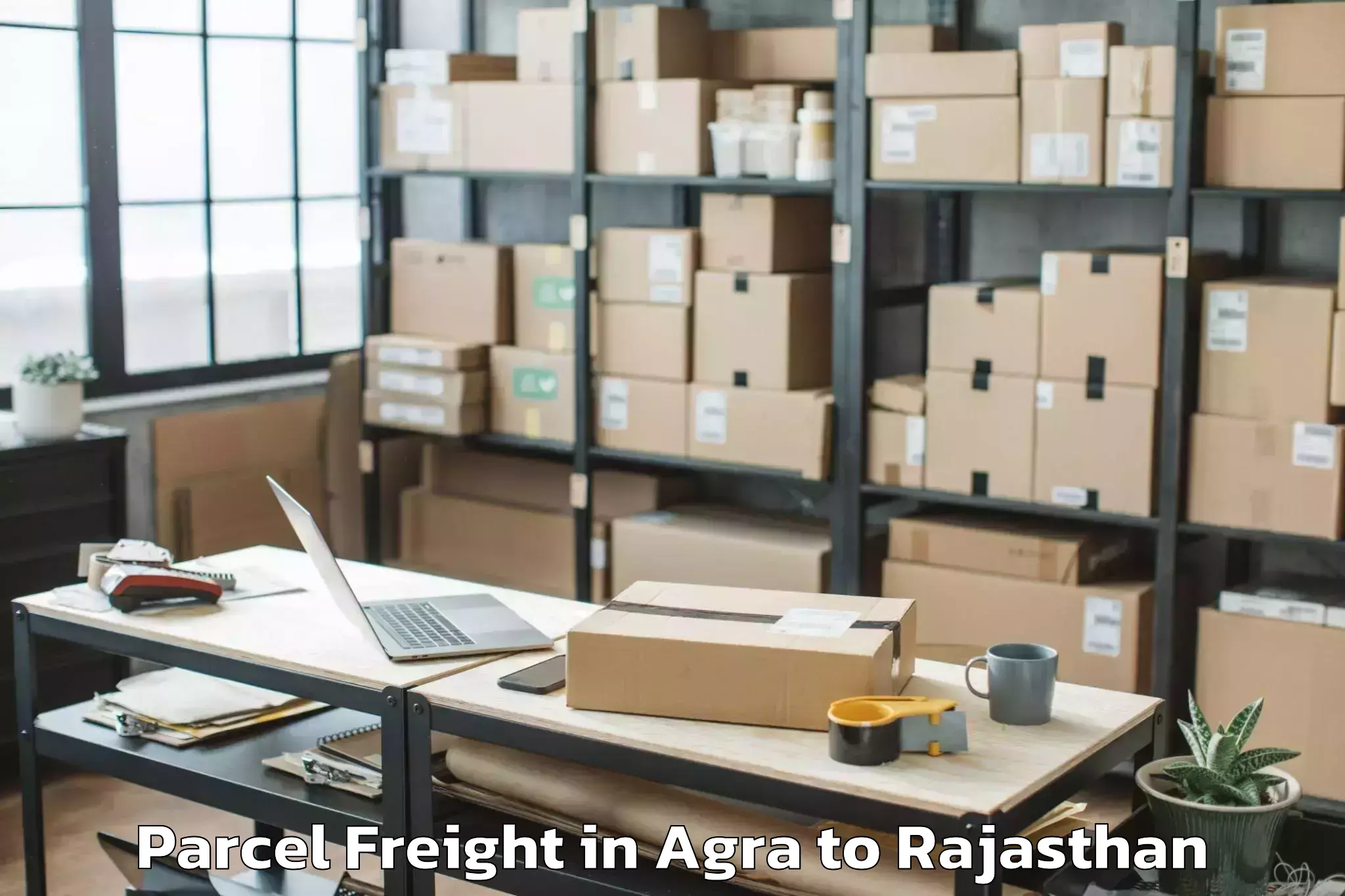 Trusted Agra to Bagru Parcel Freight